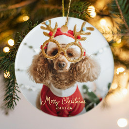 Ornamento De Cerâmica Foto de Natal de Pet Cachorro Doido Engraçado Cach
