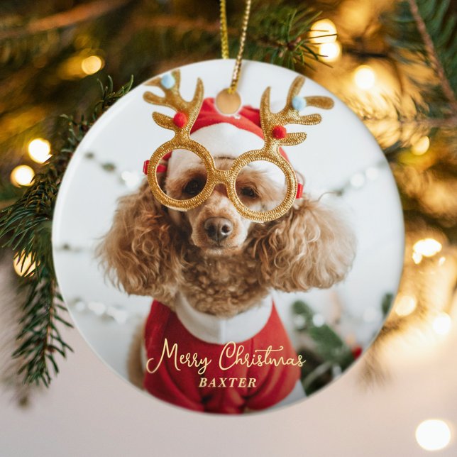 Ornamento De Cerâmica Foto de Natal de Pet Cachorro Doido Engraçado Cach (Cute Pet Christmas Photo Naughty Dog Funny Puppy Ceramic Ornament)