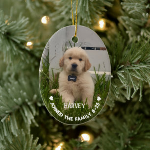 Ornamento De Cerâmica Foto de Natal do Meu Cachorro