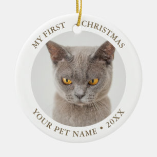 Ornamento De Cerâmica Foto de Natal do primeiro gato engraçado