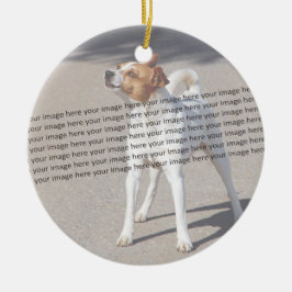 Ornamento De Cerâmica Foto de PET ✨ Adorável Personalizada