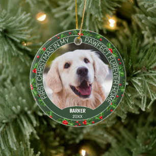 Ornamento De Cerâmica Foto De Pet De Fofo Personalizado 1 rua De Natal E