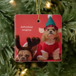 Ornamento De Cerâmica Foto de Pet, sem dúvida travessosa, natal bonito