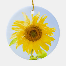 Ornamento De Cerâmica Foto de Sunflower Nature