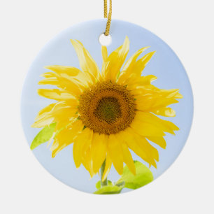Ornamento De Cerâmica Foto de Sunflower Nature