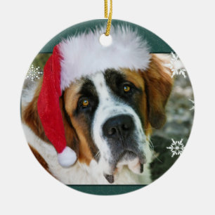 Ornamento De Cerâmica Foto do cão de St Bernard do Natal