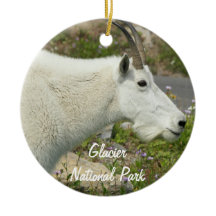 Foto do Glacier National Park Mountain Goat