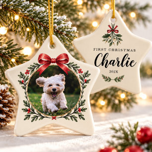 Ornamento De Cerâmica Foto do Primeiro Natal do Cachorro com Pet e Visco