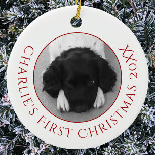 Ornamento De Cerâmica Foto do Primeiro Natal do Cachorro Personalizada