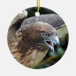 Ornamento De Cerâmica Foto do Raptor Hawk de cauda vermelha