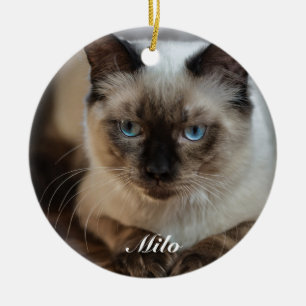 Ornamento De Cerâmica Foto e nome personalizados do Cat Ragdoll