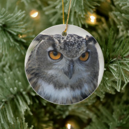 Ornamento De Cerâmica Foto Eurasian Eagle Owl