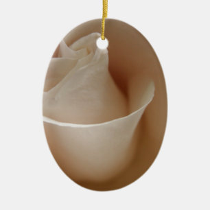 Ornamento De Cerâmica Foto floral da flor do rosa branco do marfim