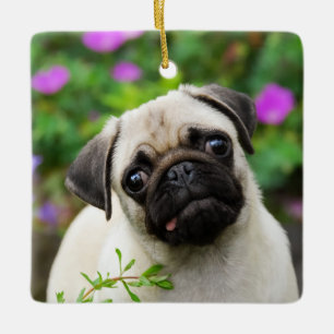 Ornamento De Cerâmica Foto fulva bonito do cão de filhote de cachorro d