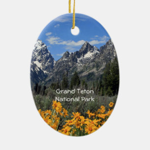 Ornamento De Cerâmica Foto grande da lembrança da primavera de Teton