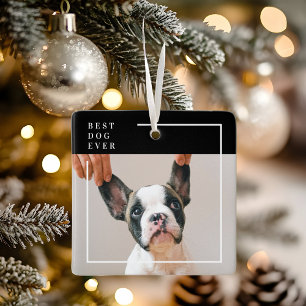 Ornamento De Cerâmica Foto Moderna em Preto e Branco do Melhor Cachorro 