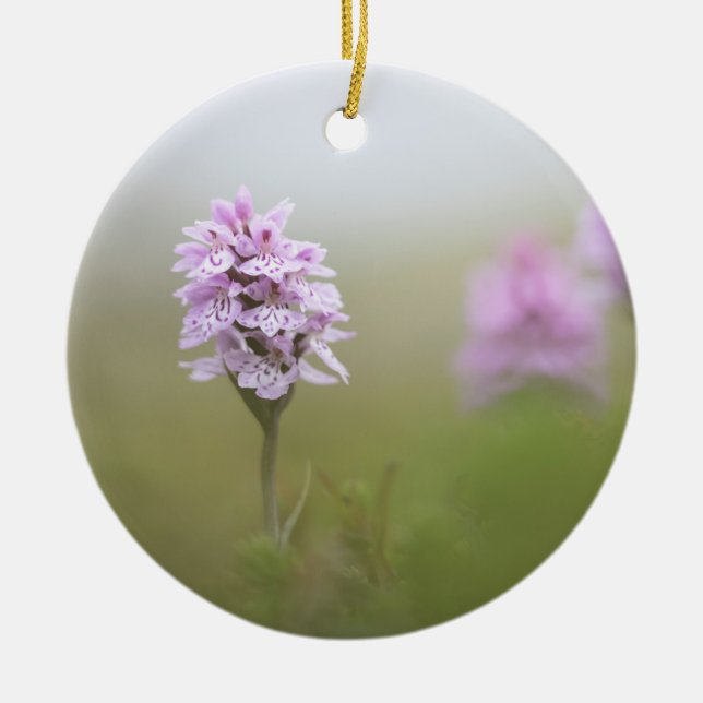 Ornamento De Cerâmica Foto Orquídea (Frente)