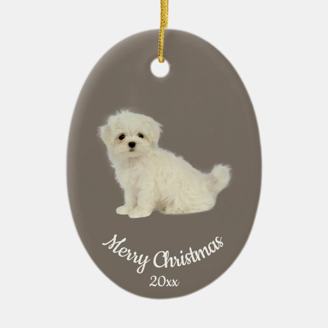 Ornamento De Cerâmica Foto personalizada datada Pet de Cão Maltês de Nat (Frente)