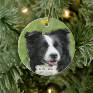 Ornamento De Cerâmica Foto personalizada de Border Collie