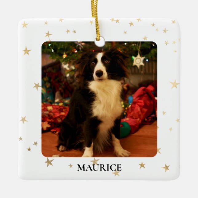 Ornamento De Cerâmica Foto personalizada de cão (Frente)