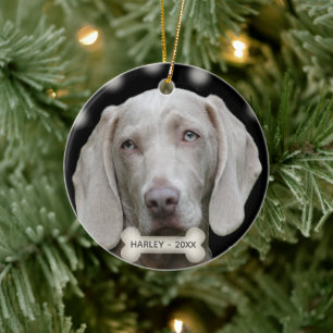 Ornamento De Cerâmica Foto personalizada de cão Weimaraner