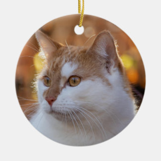 Ornamento De Cerâmica Foto Personalizada de Gatinho