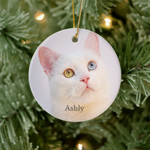 Ornamento De Cerâmica Foto Personalizada de Gato Branco Personalizada