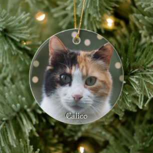 Ornamento De Cerâmica Foto personalizada de gato calico