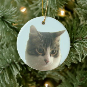 Ornamento De Cerâmica Foto personalizada de gato tabby em azul claro