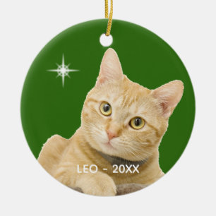 Ornamento De Cerâmica Foto personalizada de gato tabby gengibre em verde