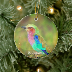 Ornamento De Cerâmica Foto Personalizada de Pássaro Multicolor