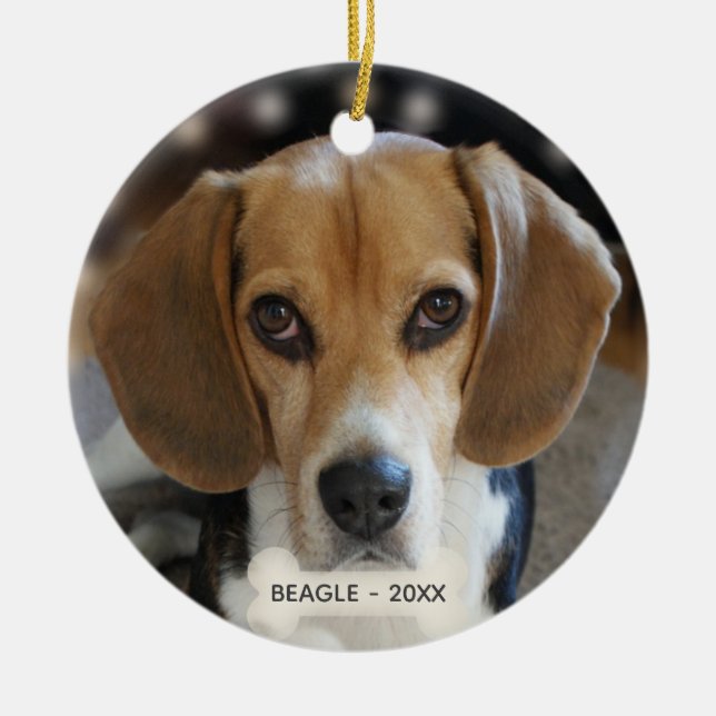 Ornamento De Cerâmica Foto personalizada do cachorro Beagle (Frente)