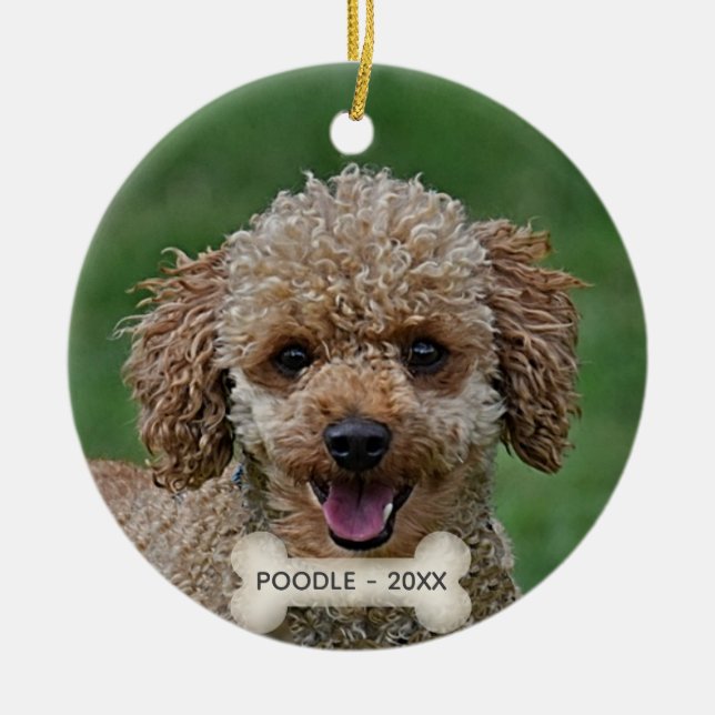 Ornamento De Cerâmica Foto personalizada do cão do Poodle Apricot (Frente)