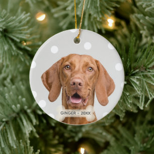 Ornamento De Cerâmica Foto personalizada do cão Vizsla