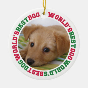 Ornamento De Cerâmica Foto personalizada do melhor cão do mundo com pata