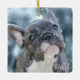 Ornamento De Cerâmica Foto personalizada do melhor nome de cão ou de pap