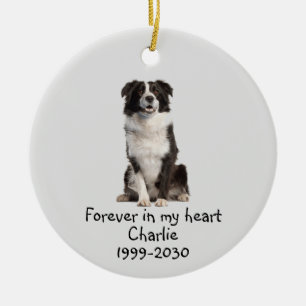 Ornamento De Cerâmica Foto Personalizada Do Memorial Animal Pet De Cães