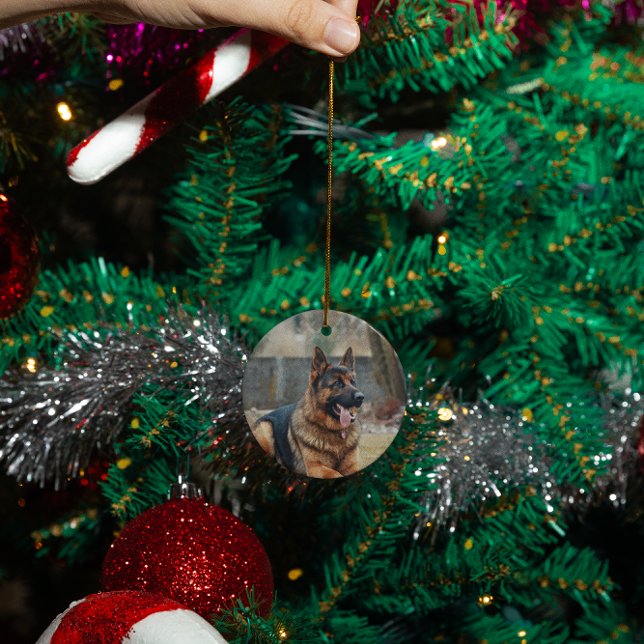 Ornamento De Cerâmica Foto personalizada personalizada de cão de gato (Criador carregado)