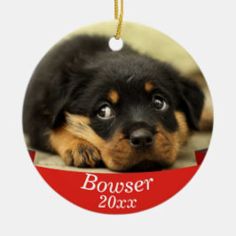 Ornamento De Cerâmica Foto Pet Bonita Com Natal De Data