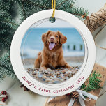 Ornamento De Cerâmica Foto Pet De Cão Vermelho Quarentena Pawsitivamente<br><div class="desc">Pawsitivamente Melhor Ano De Todos! De acordo com os cães! Decorre a árvore ou envie um presente especial com este super fofo enfeites de natal personalizado de fotos de animais. Este engraçado enfeites de natal de quarentena pandêmica será um favorito entre todos os amantes de cães. Adicione a foto do...</div>