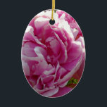 Ornamento De Cerâmica Foto rosa de Peony caseiro caseiro caseiro floral<br><div class="desc">Um belo jardim de peônias cor-de-rosa ao sol da manhã - foto de H Cooper.</div>