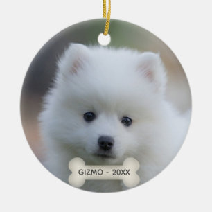 Ornamento De Cerâmica Foto simples personalizada do cão Spitz japonês