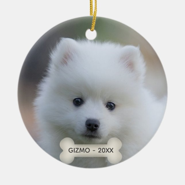 Ornamento De Cerâmica Foto simples personalizada do cão Spitz japonês (Frente)