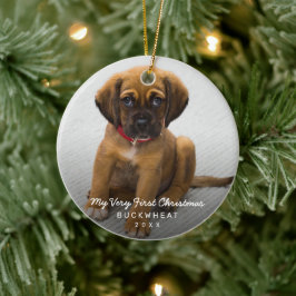 Ornamento De Cerâmica Foto Simples Puppy Primeiro Natal Moderno