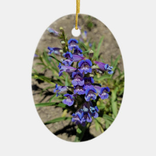 Ornamento De Cerâmica Foto Vertical bonito Violeta Roxa