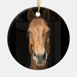 Ornamento De Cerâmica Fotografia da cara do cavalo