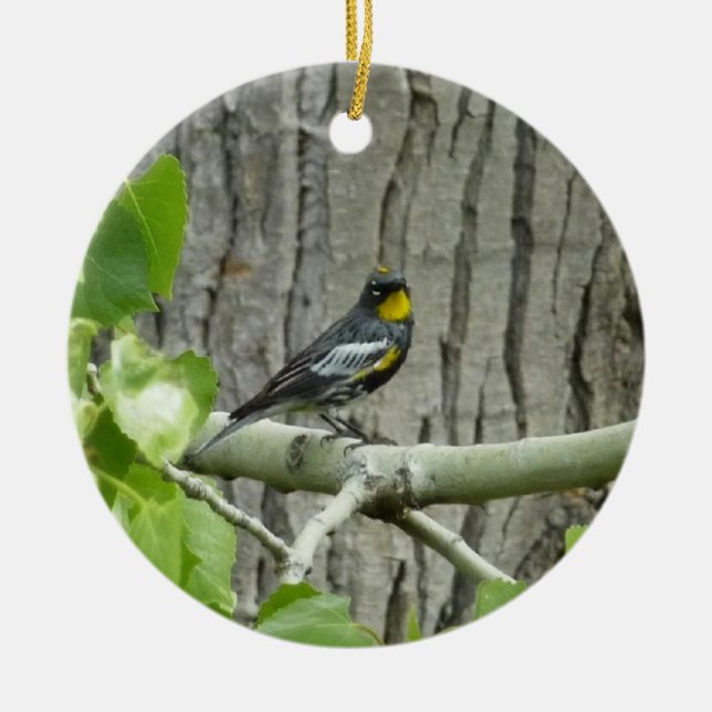 Ornamento De Cerâmica Fotografia da Natureza do Pássaro-de-rump-amarelo- (Frente)