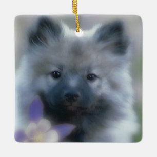 Ornamento De Cerâmica Fotografia de Cão Keeshond e Columbine