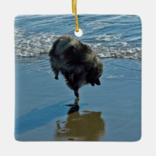 Ornamento De Cerâmica Fotografia do Balé Keeshond - Arte de Cachorro Ori