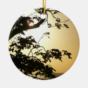 Ornamento De Cerâmica Fotografia Tropical II através do Sol